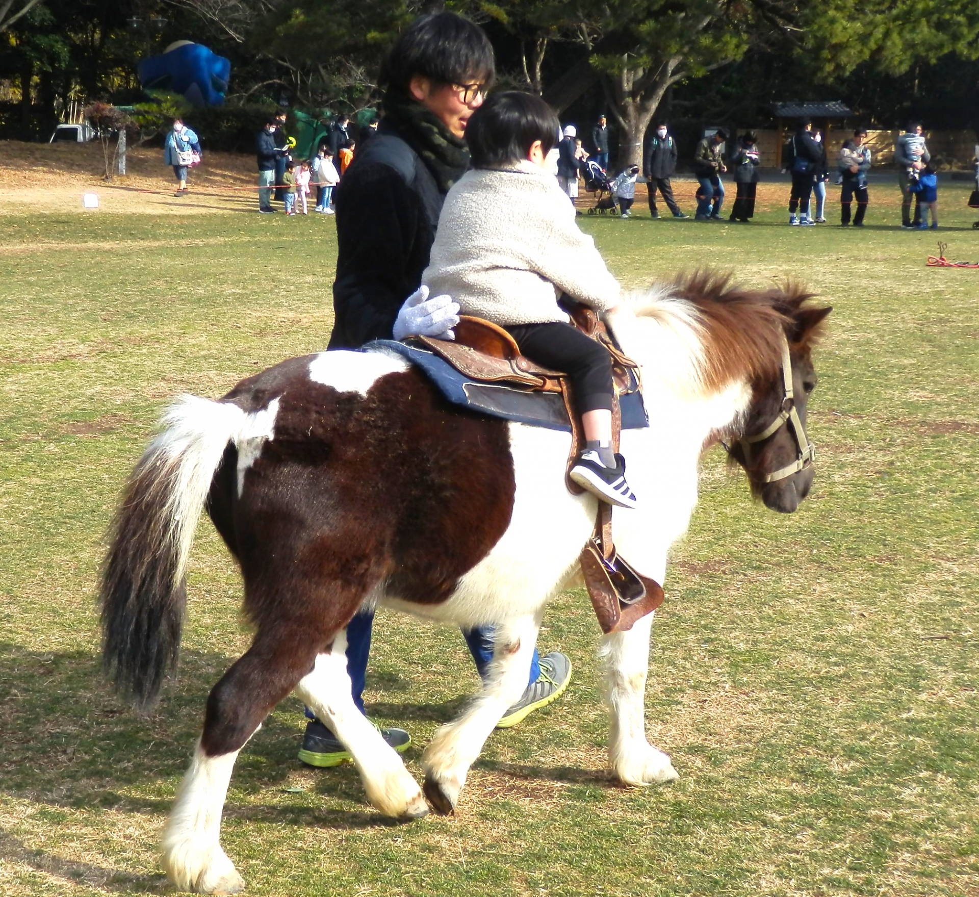 令和７年度いちにちふれあいどうぶつ村を開催します
